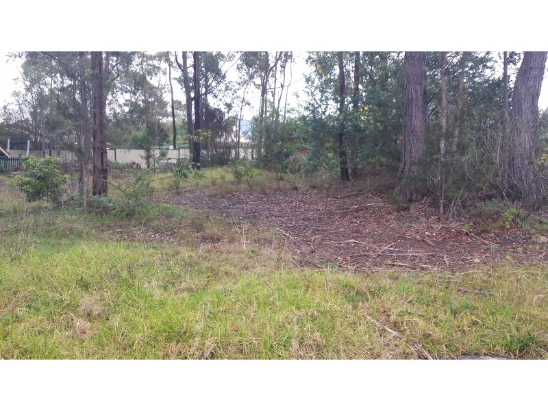 2 Warrigal Street, Willow Vale NSW 2575