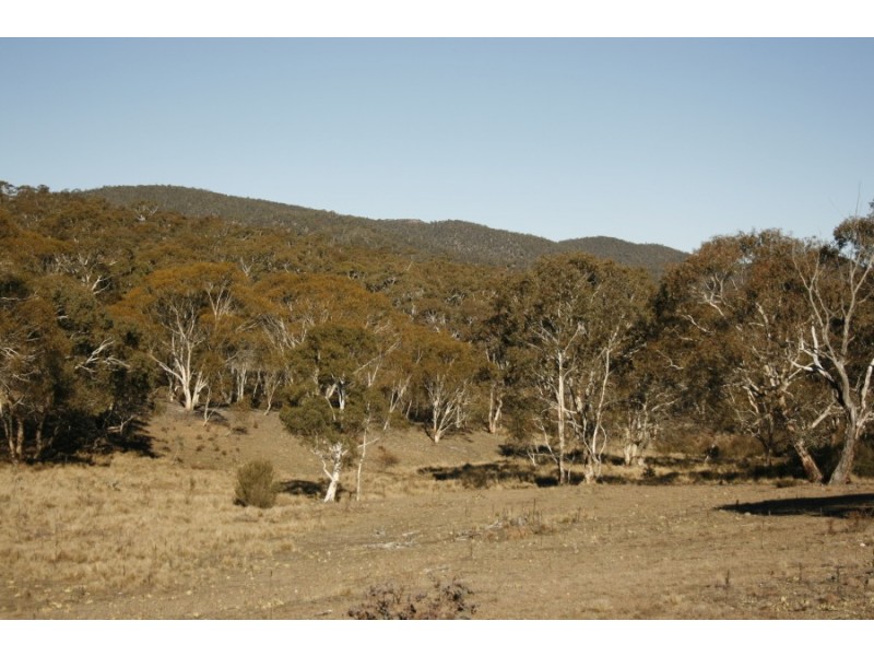 Lot 110 Dangelong Rd, Cooma NSW 2630