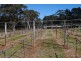 Lot 112 Murrimba Road, Wingello NSW 2579