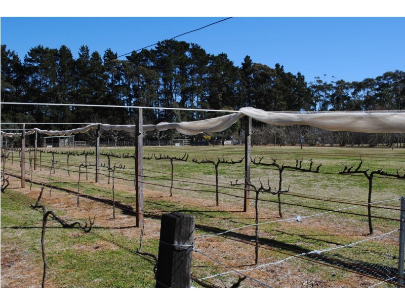 Lot 112 Murrimba Road, Wingello NSW 2579