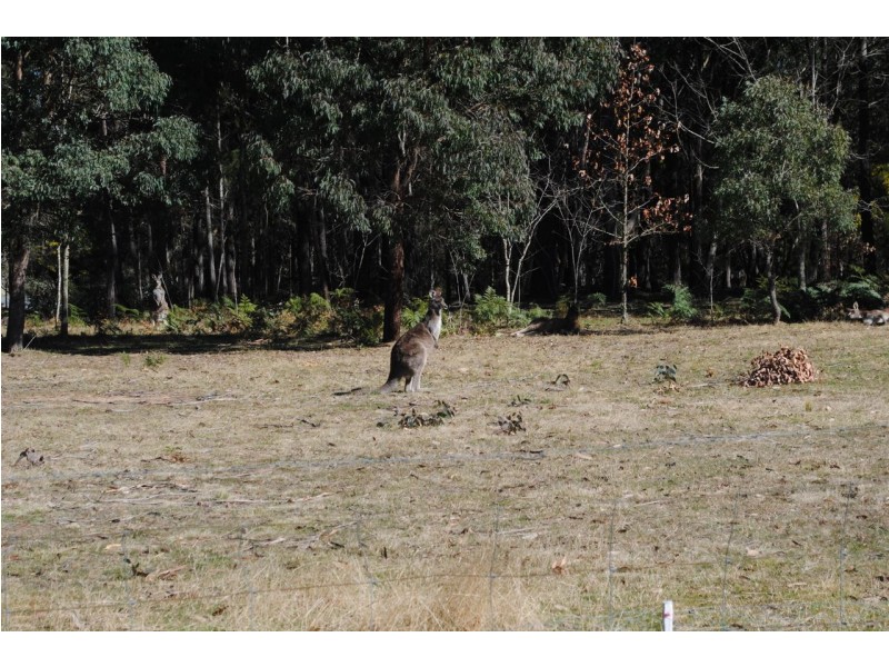 Lot 112 Murrimba Road, Wingello NSW 2579