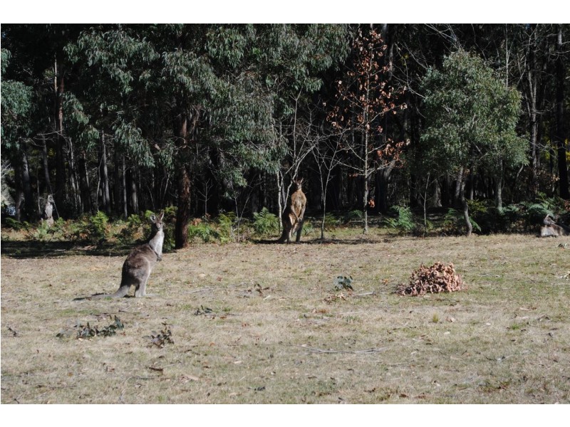 Lot 112 Murrimba Road, Wingello NSW 2579