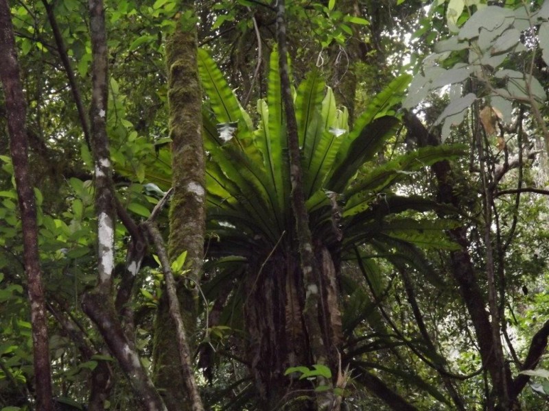 Lot 126 Scone Rd, Gloucester NSW 2422