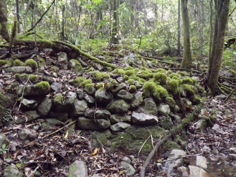 Lot 126 Scone Rd, Gloucester NSW 2422