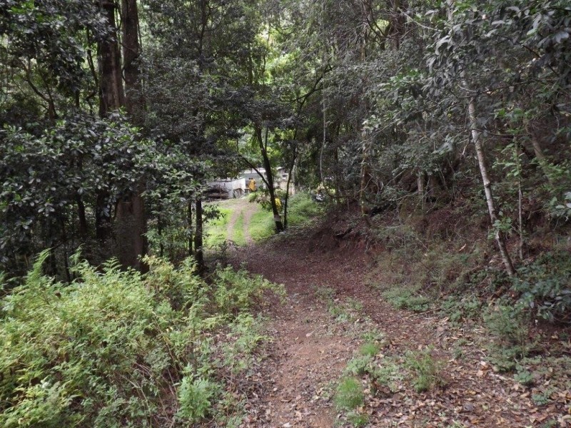 Lot 126 Scone Rd, Gloucester NSW 2422