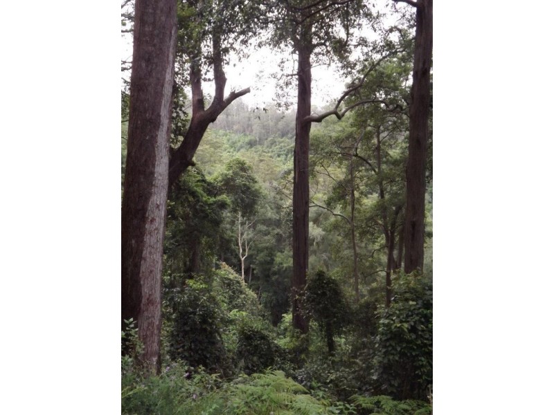 Lot 126 Scone Rd, Gloucester NSW 2422