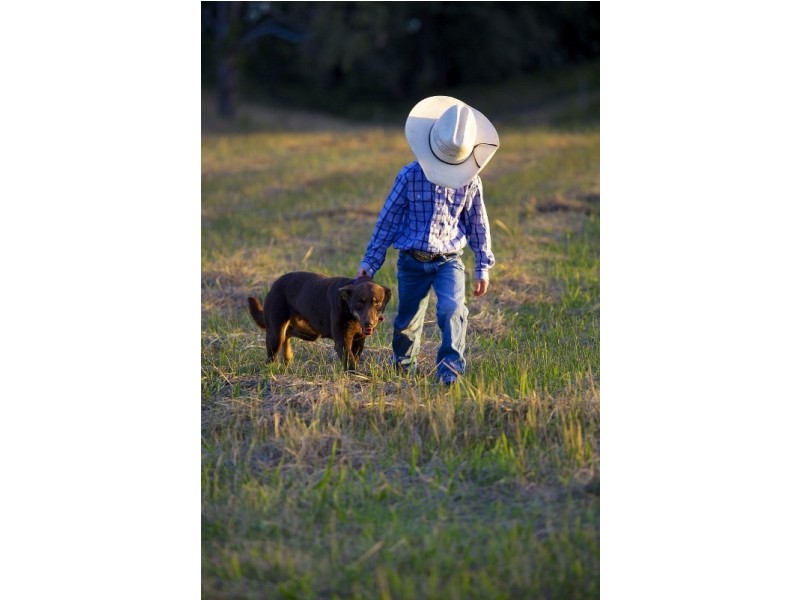 Lot 301 Yoke Way River Downs Estate, Clarence Town NSW 2321