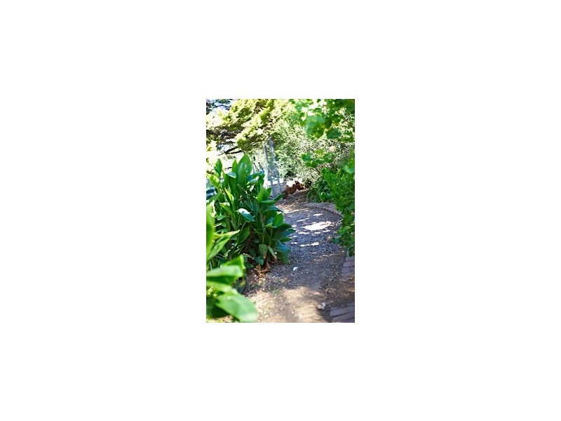 14/200 Mt Hercules Road, Razorback NSW 2571