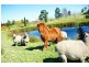 14/200 Mt Hercules Road, Razorback NSW 2571