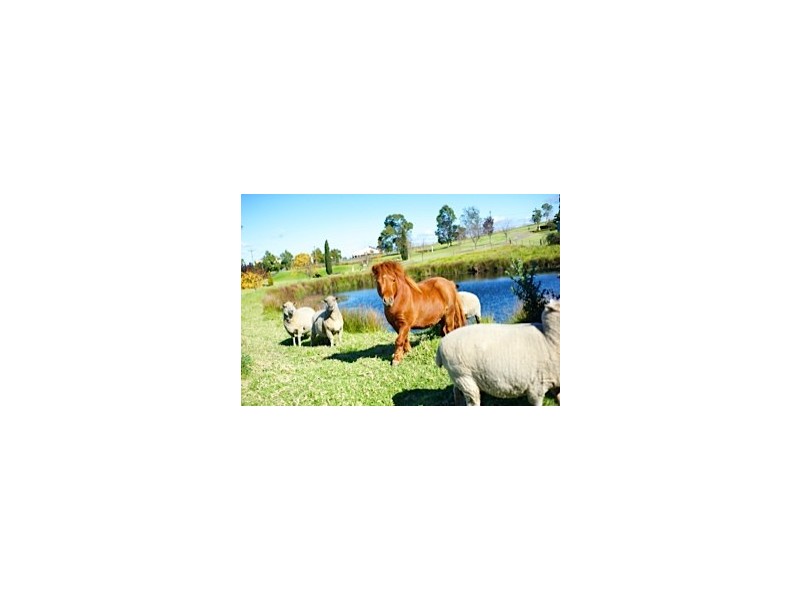 14/200 Mt Hercules Road, Razorback NSW 2571