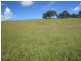 Lot 32 1397 Dungog Rd, Dungog NSW 2420