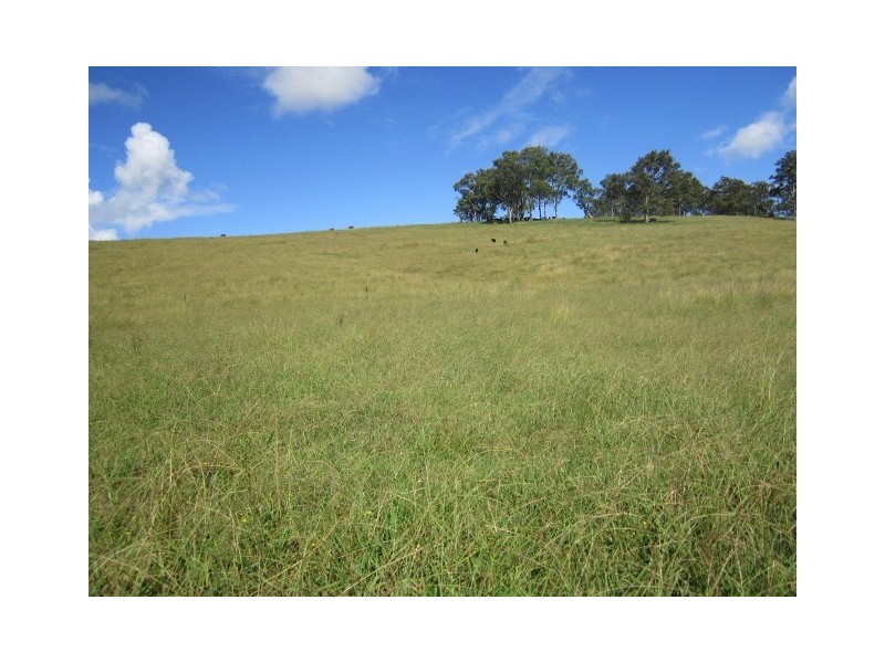 Lot 32 1397 Dungog Rd, Dungog NSW 2420