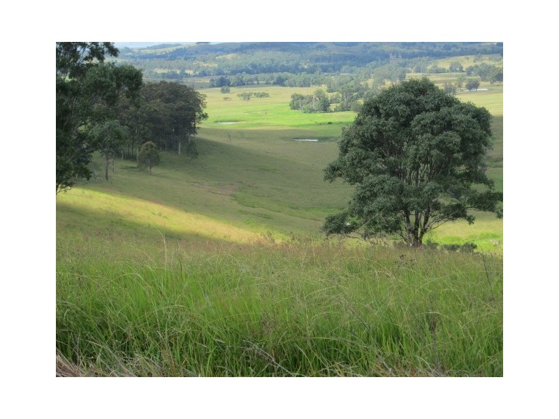 Lot 32 1397 Dungog Rd, Dungog NSW 2420