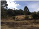 640 Pinebrush Road, Clarence Town NSW 2321