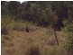640 Pinebrush Road, Clarence Town NSW 2321