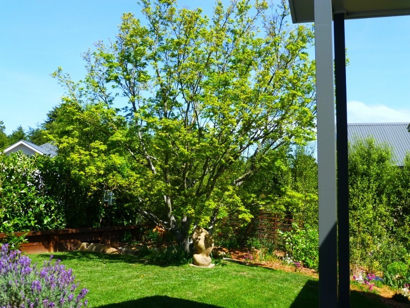 8 Lodge Lane, Bundanoon NSW 2578