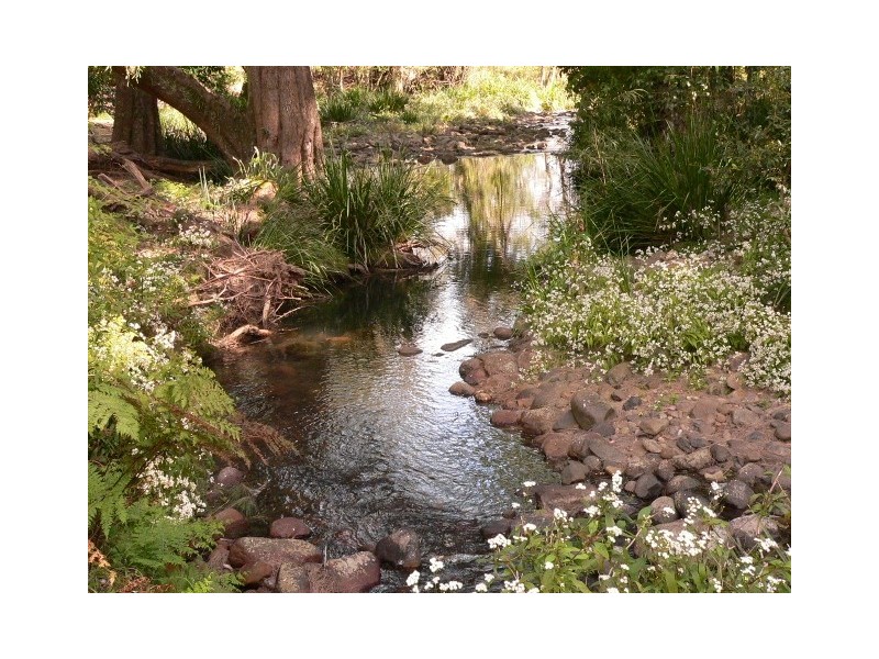 1312 Chichester Road, Dungog NSW 2420