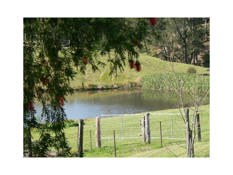 1312 Chichester Road, Dungog NSW 2420