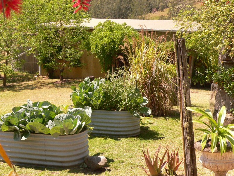 1312 Chichester Road, Dungog NSW 2420