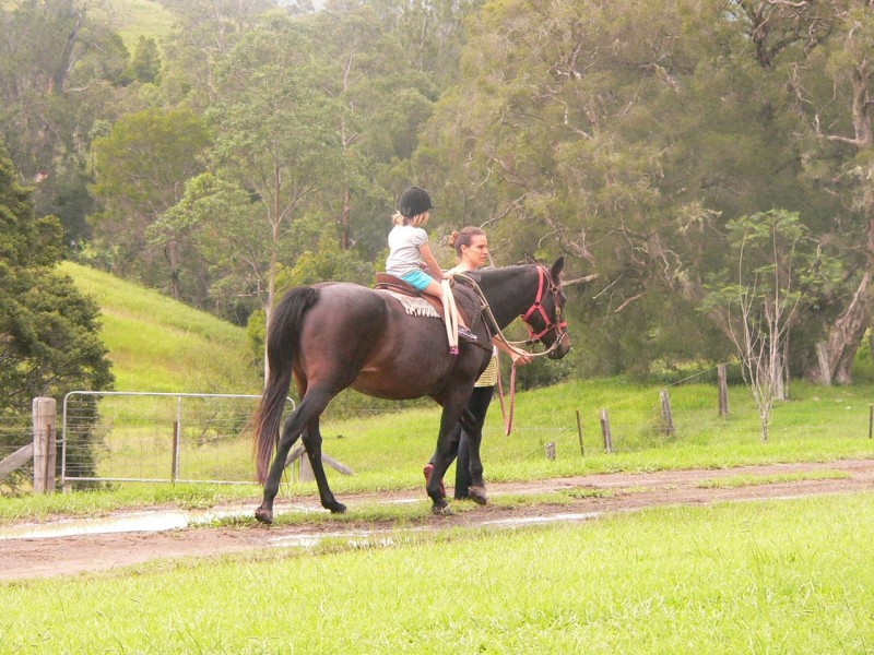 1312 Chichester Road, Dungog NSW 2420