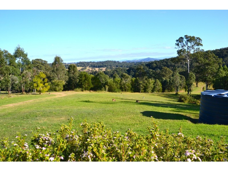 208 Moylans Road, Dungog NSW 2420
