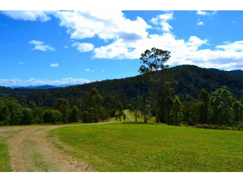 208 Moylans Road, Dungog NSW 2420