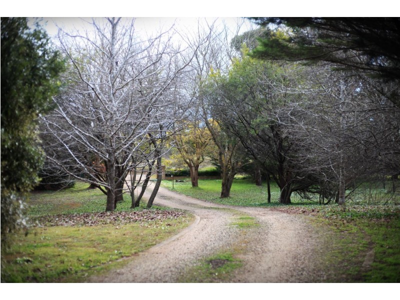 10 Coney Hatch Lane, Sutton Forest NSW 2577