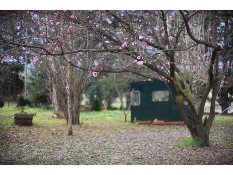 10 Coney Hatch Lane, Sutton Forest NSW 2577