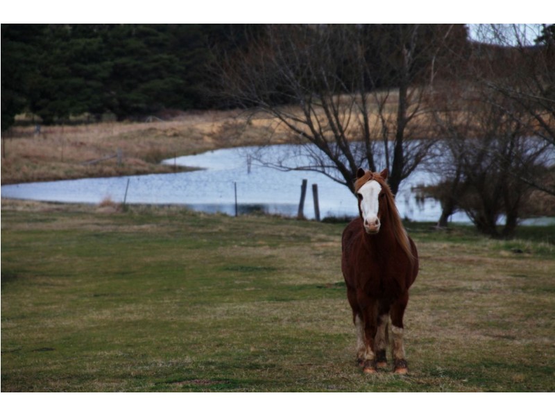 10 Coney Hatch Lane, Sutton Forest NSW 2577
