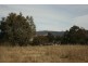Bombala NSW 2632