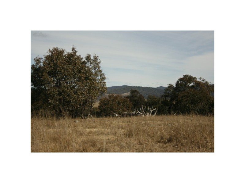 Bombala NSW 2632