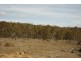 Bombala NSW 2632