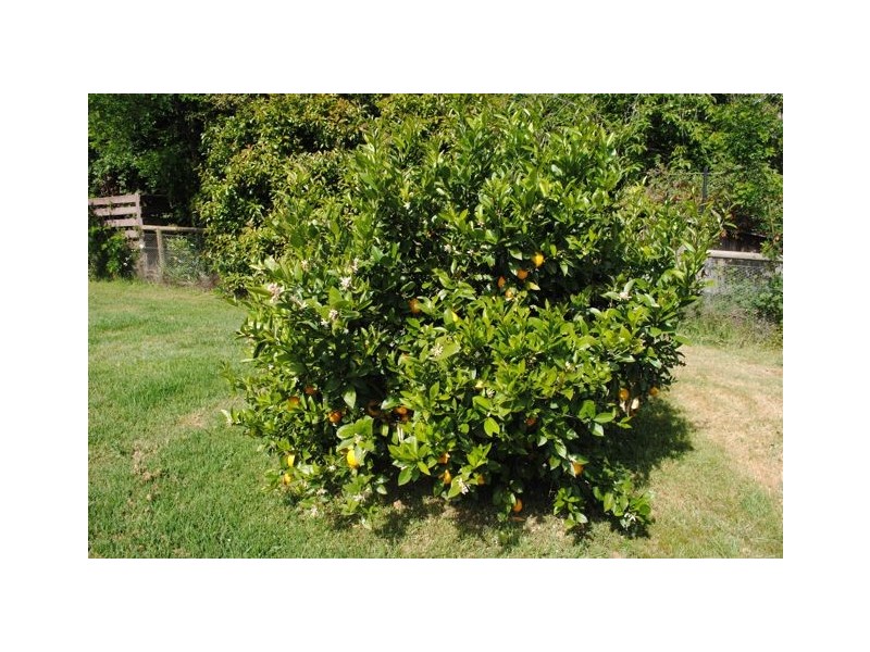 77 Middle Road, Exeter NSW 2579