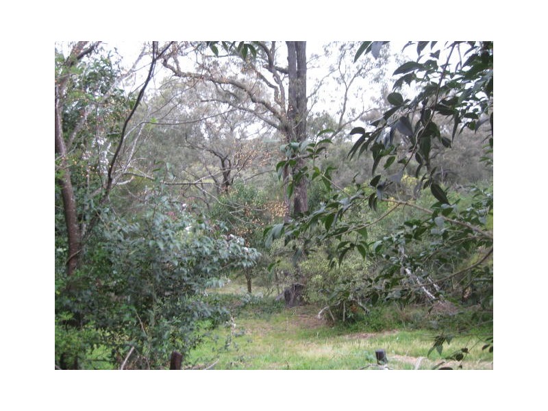 7 Jenkins Street, Douglas Park NSW 2569