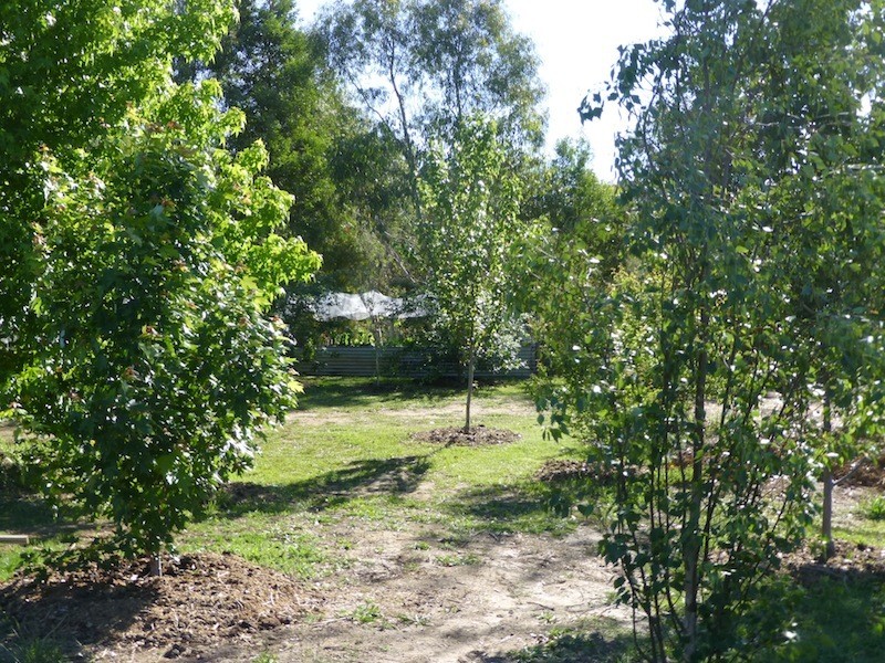 4 Larkin Close, Bundanoon NSW 2578