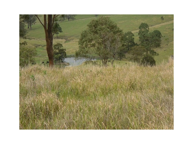 312-370 Upper Monkerai  Road, Dungog NSW 2420