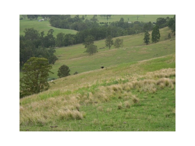 312-370 Upper Monkerai  Road, Dungog NSW 2420