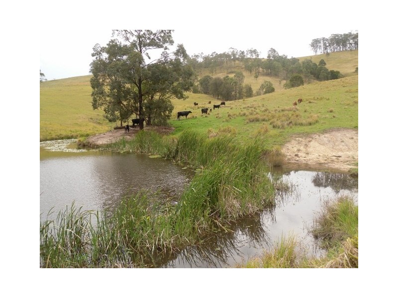 312-370 Upper Monkerai  Road, Dungog NSW 2420