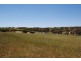 76 Hills Street, Young NSW 2594