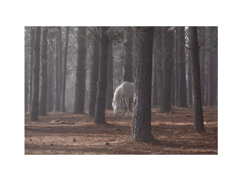 4 Huon Street (Lot 4), Tallong NSW 2579