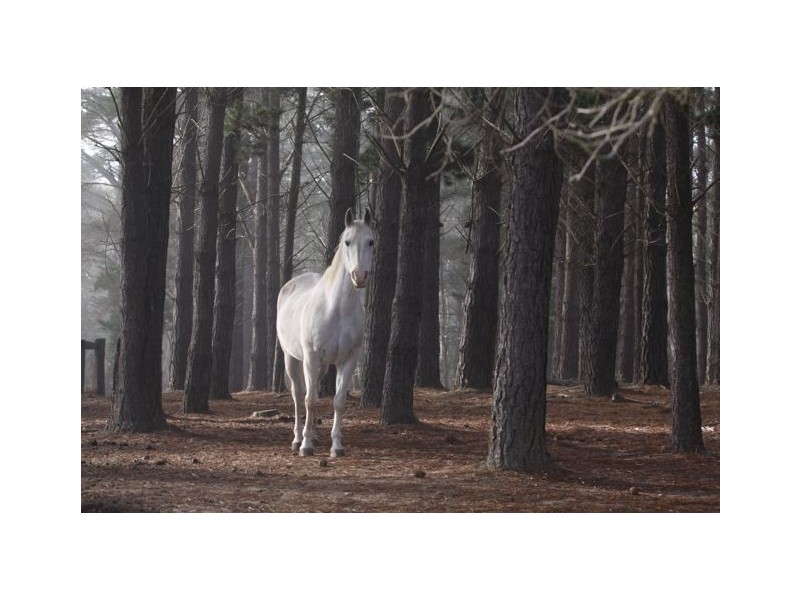 4 Huon Street (Lot 4), Tallong NSW 2579