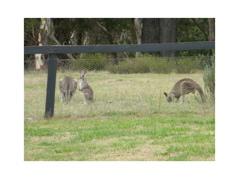 4 Huon Street (Lot 4), Tallong NSW 2579