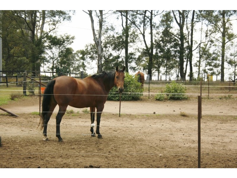 190 Arina Road, Bargo NSW 2574