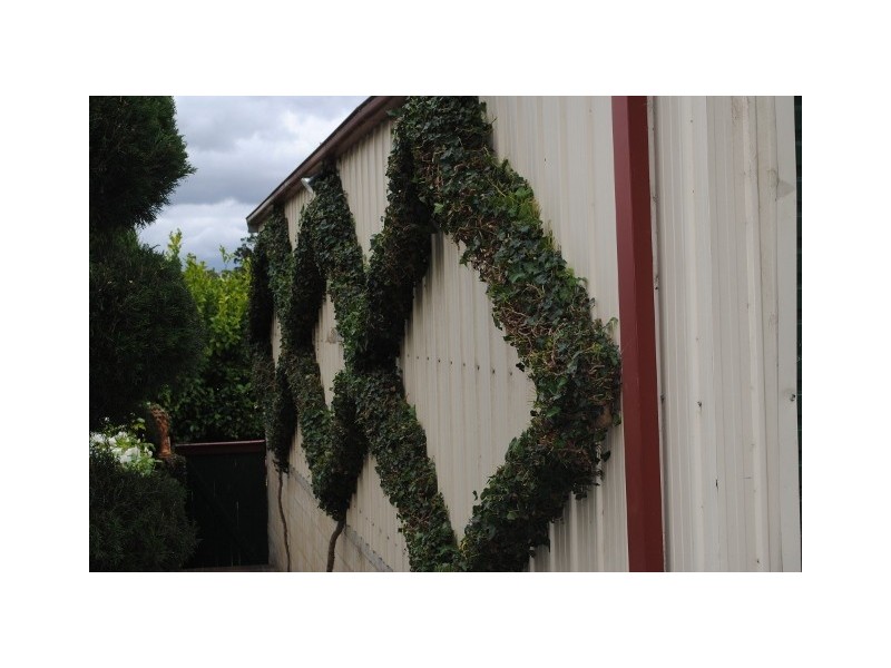 33-35 Railway Avenue, Bundanoon NSW 2578
