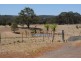 2168 Brayton Road, Marulan NSW 2579