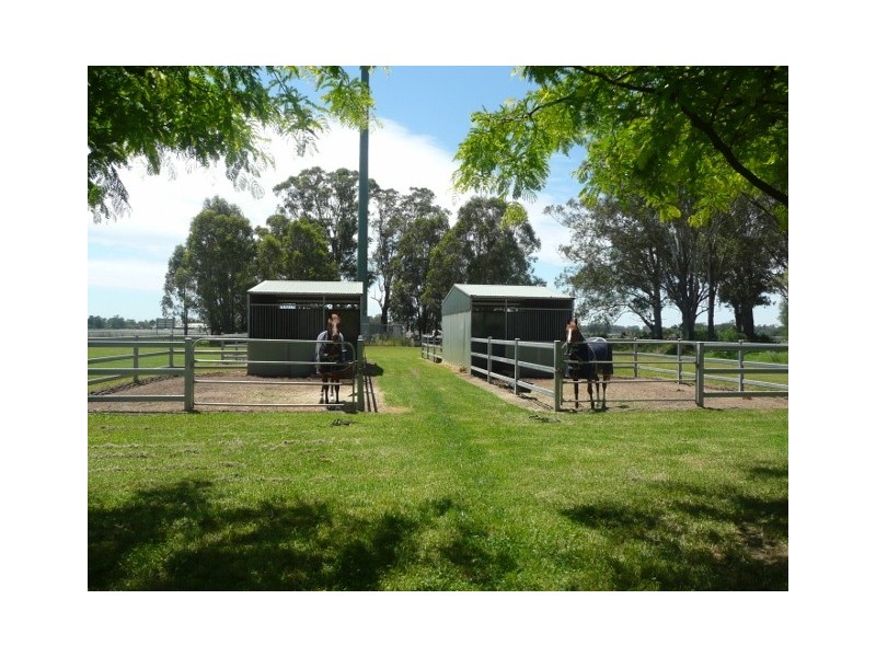 139 Racecourse Road, Clarendon NSW 2756