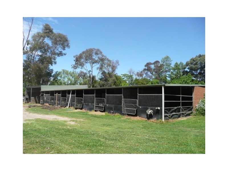 139 Racecourse Road, Clarendon NSW 2756