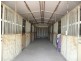139 Racecourse Road, Clarendon NSW 2756