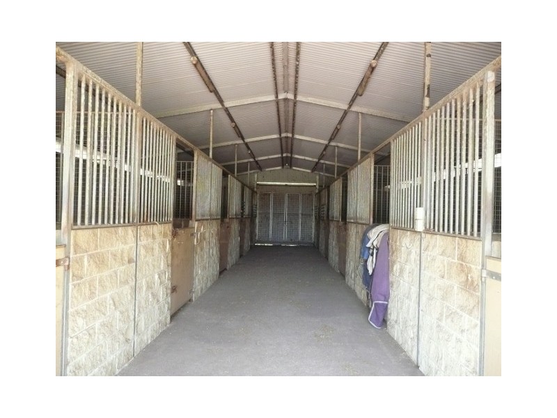 139 Racecourse Road, Clarendon NSW 2756