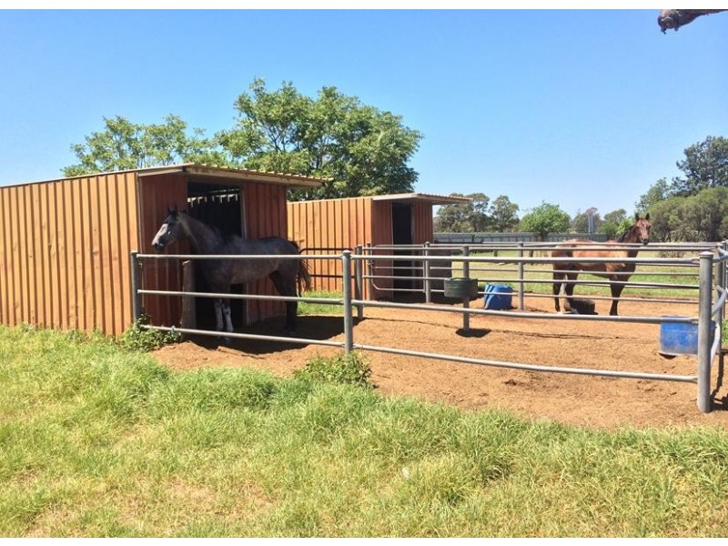 53 Rickaby St, Clarendon NSW 2756